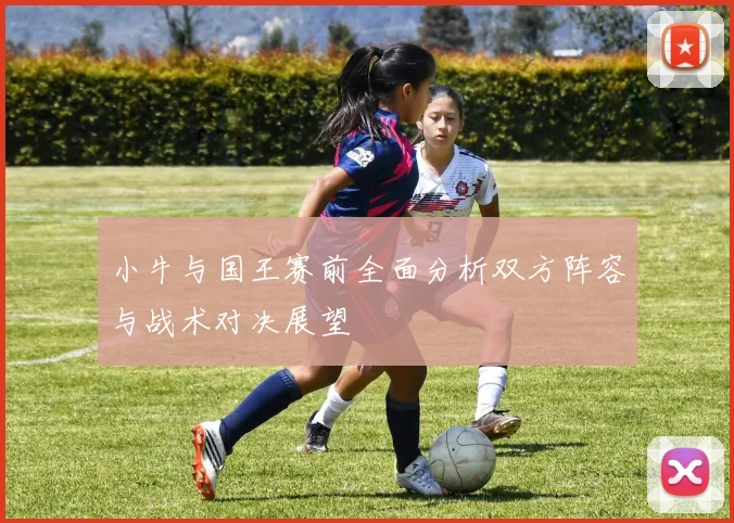 小牛与国王赛前全面分析双方阵容与战术对决展望