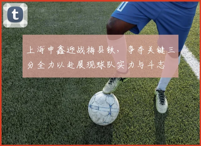 上海申鑫迎战梅县铁，争夺关键三分全力以赴展现球队实力与斗志