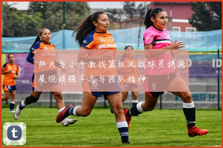 热火与小牛激战篮板大战球员拼抢展现顽强斗志与团队精神