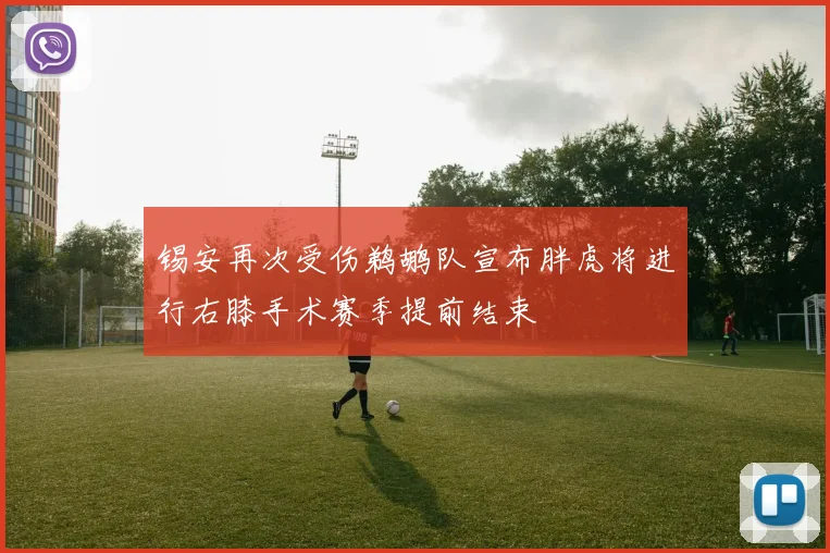 锡安再次受伤鹈鹕队宣布胖虎将进行右膝手术赛季提前结束