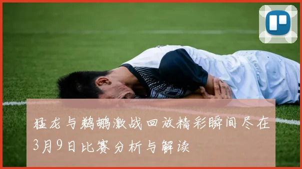 猛龙与鹈鹕激战回放精彩瞬间尽在3月9日比赛分析与解读