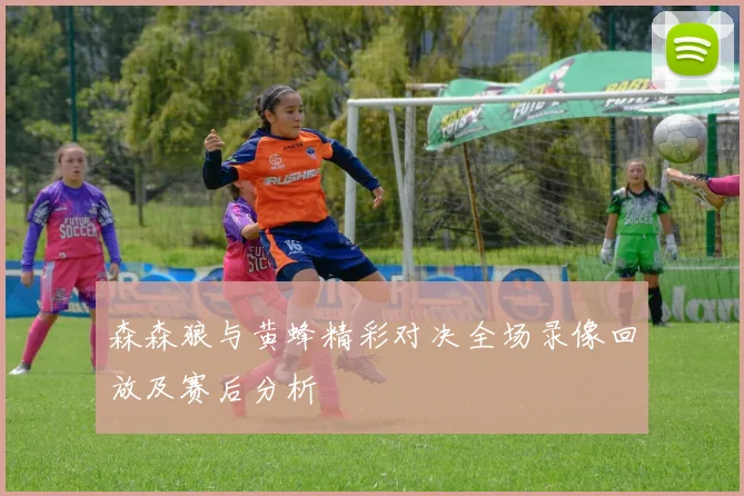 森森狼与黄蜂精彩对决全场录像回放及赛后分析